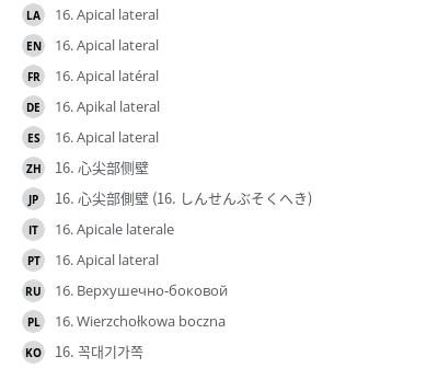 Translations
