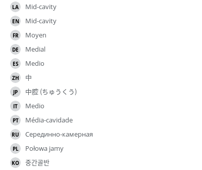 Translations