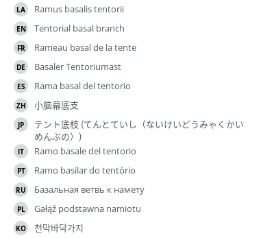 Translations