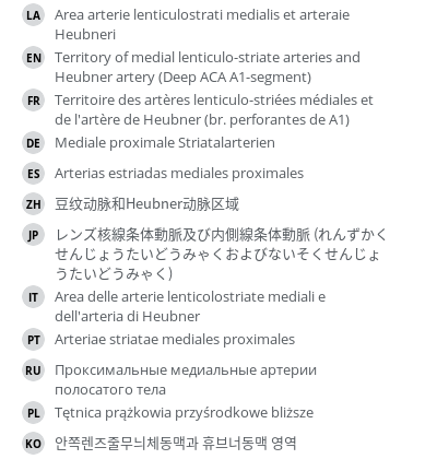 Translations
