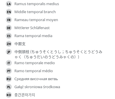 Translations