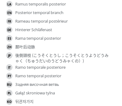 Translations
