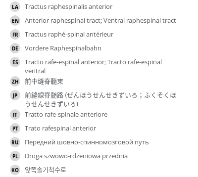 Translations