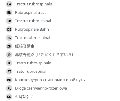 Translations