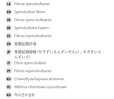 Translations