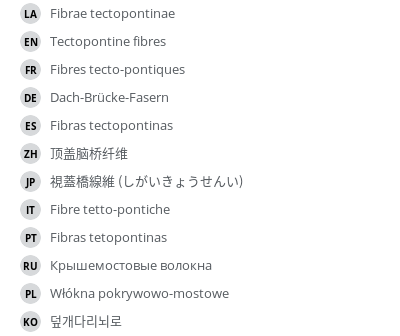 Translations