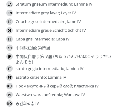 Translations