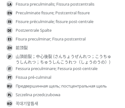 Translations