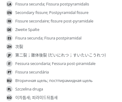 Translations