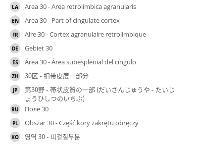 Translations