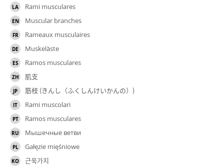 Translations