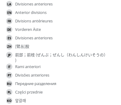 Translations