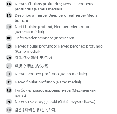 Translations