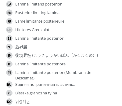 Translations