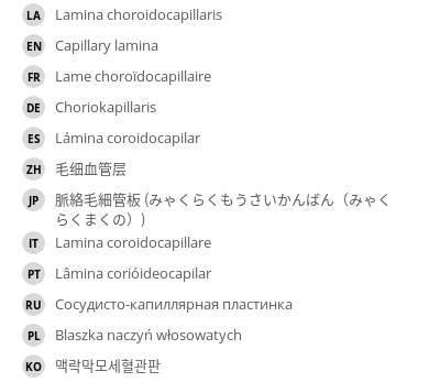 Translations