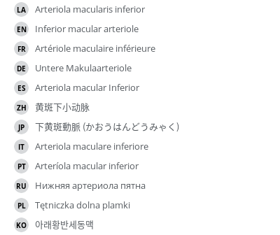 Translations
