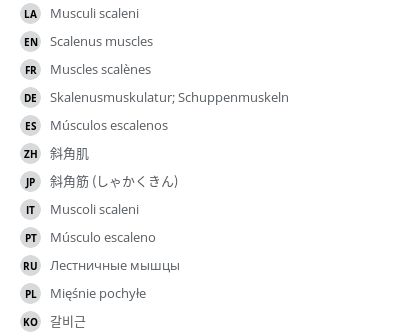 Translations