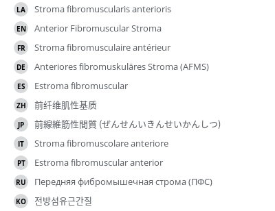 Translations