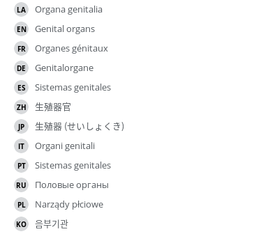 Translations