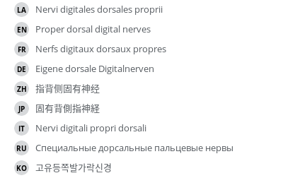 Translations