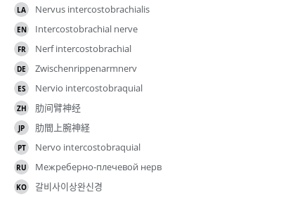 Translations