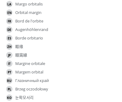 Translations