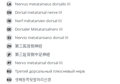 Translations