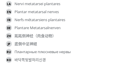 Translations
