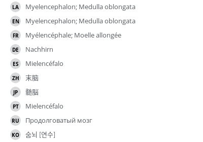 Translations