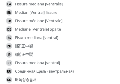 Translations