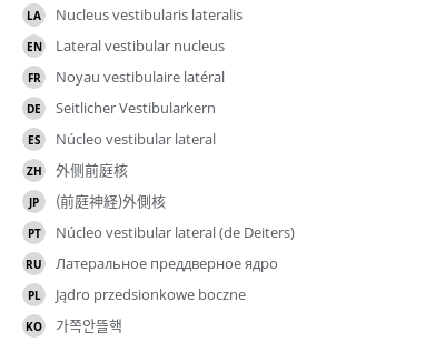 Translations