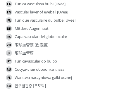 Translations