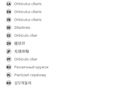 Translations