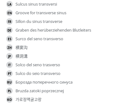 Translations