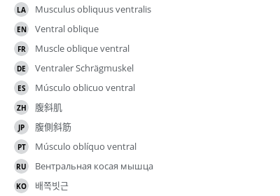 Translations