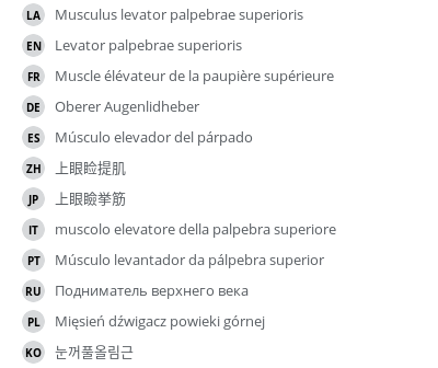 Translations