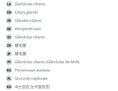 Translations