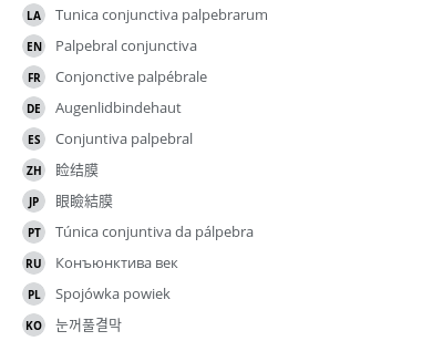 Translations