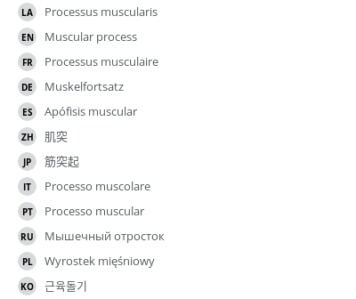 Translations