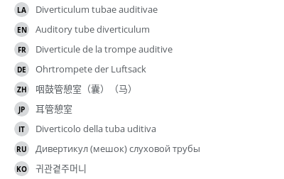 Translations
