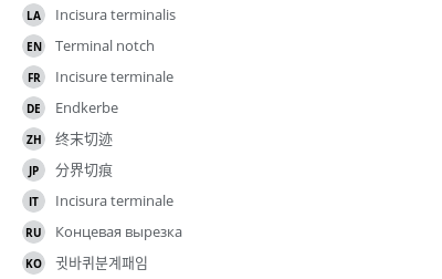 Translations