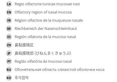 Translations