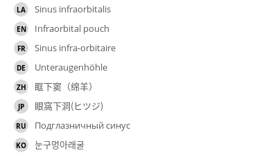 Translations