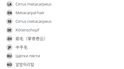 Translations