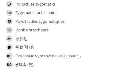 Translations