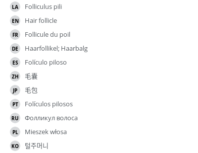 Translations