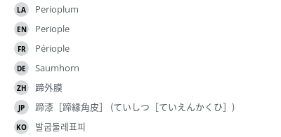 Translations