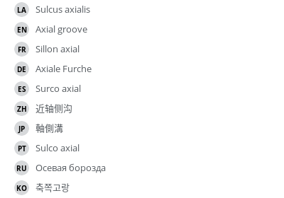 Translations