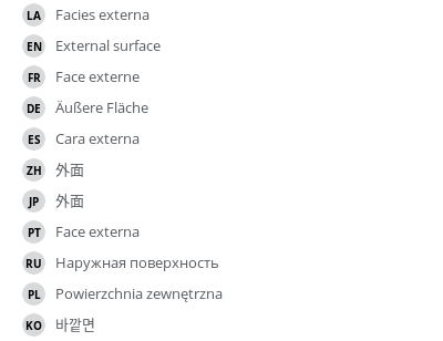 Translations