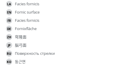 Translations